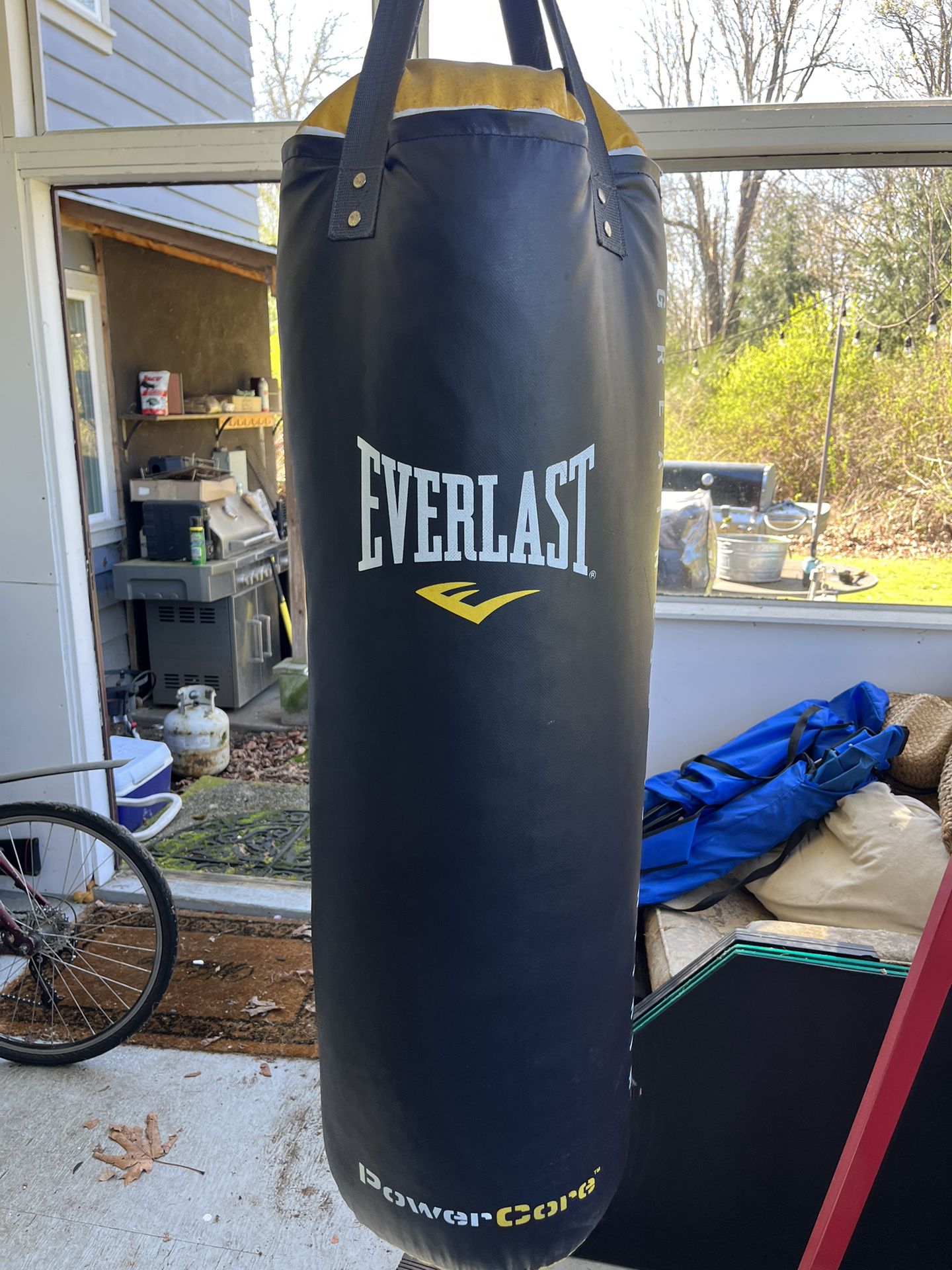 Everlast Punching Bag With Full Stand