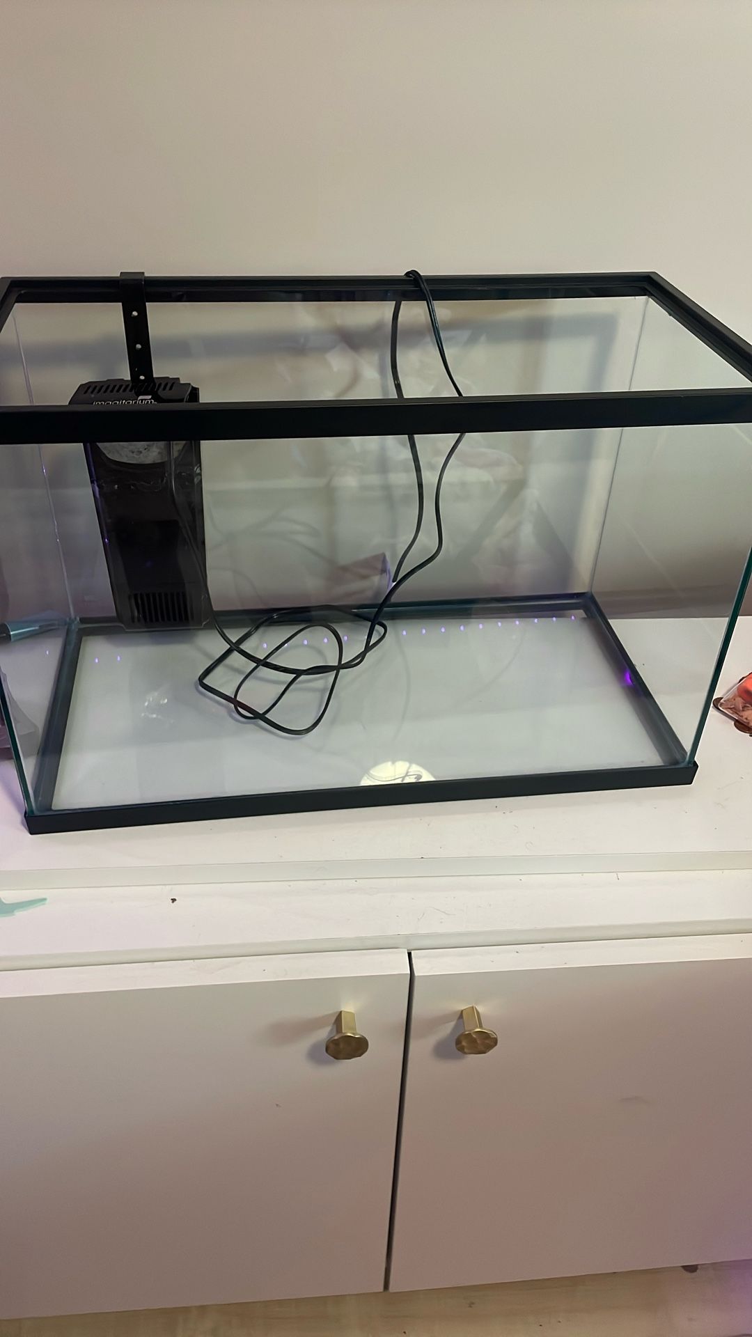 Fish Tank + Filter
