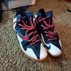 LeBron Sneakers Independence Day