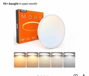 Taloya Moon LED Flush Mount Ceiling Light
