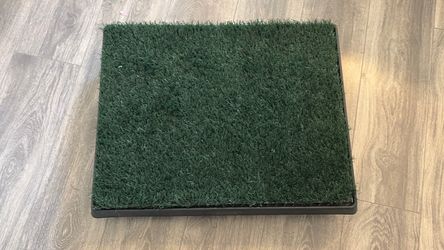 Brand new Dog training pad