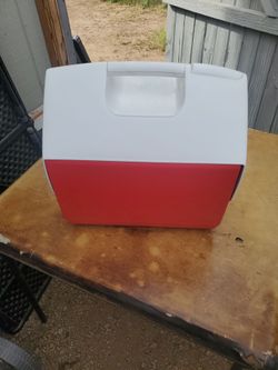 Playmate Lunch  Cooler  16 Quarts  I ASK  $20.00