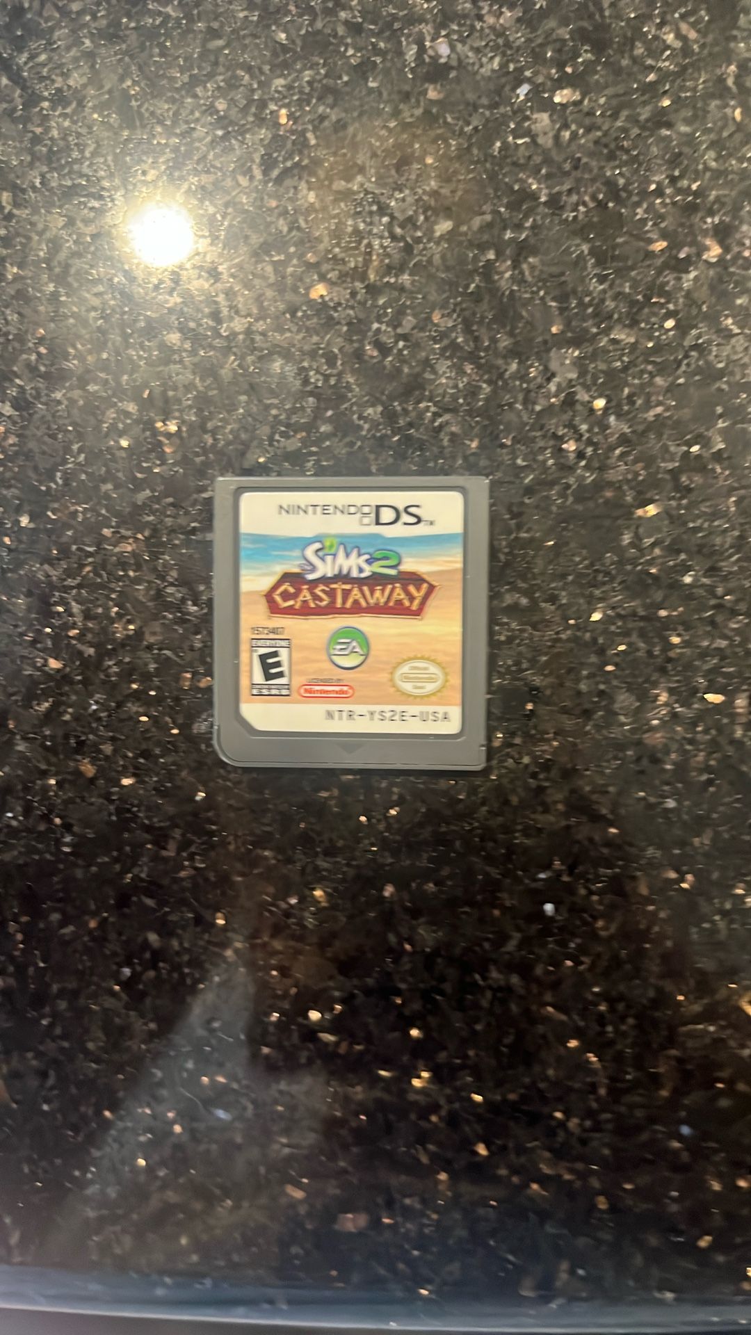Sims 2 Castaway DS