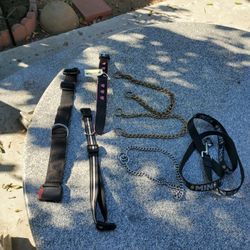 dog collars/ leash