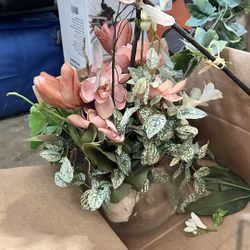 TWO beautiful Green Plants For Home Decoration With Pots Included Large Size 