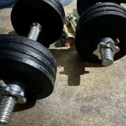 weights