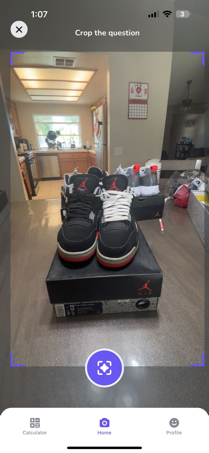 Jordan 4s