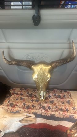 cow head
