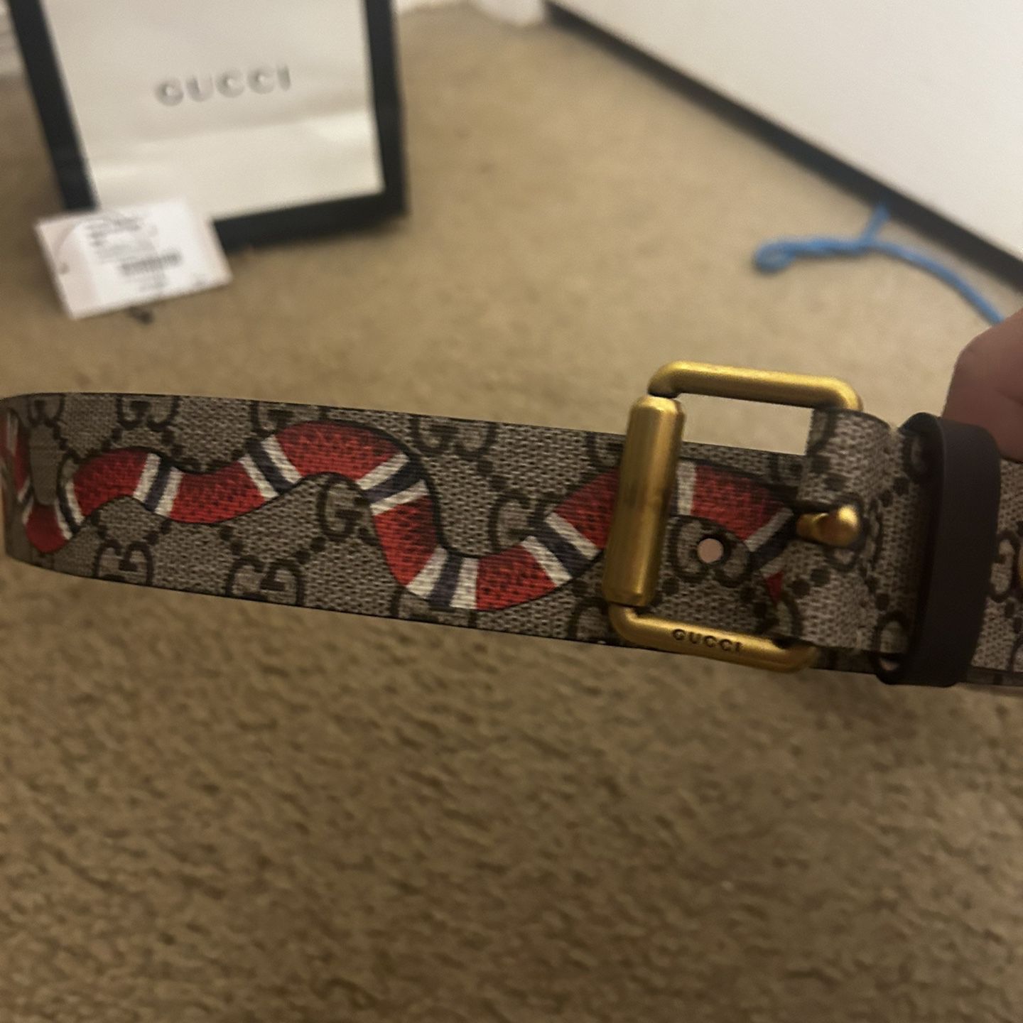 Gucci Supreme Snake Belt 