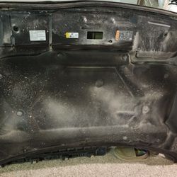 2019 Ford F150 Hood (Damage) Thumbnail