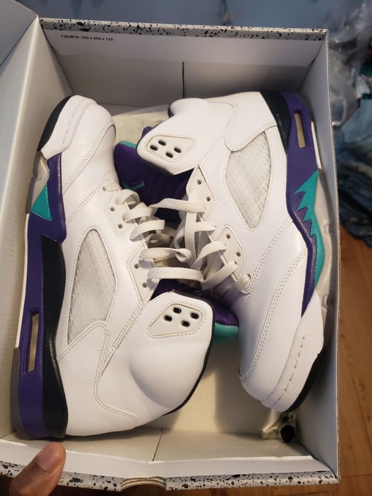 Jordan 5 Grape (2013) Size 10