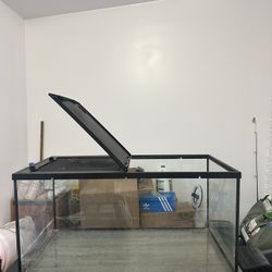 40 Gallon Aquarium 