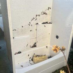 Shower/tub Enclosure 