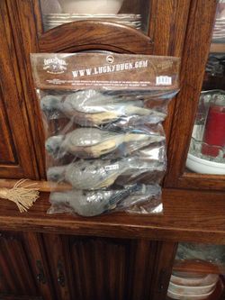 Dove Decoys 