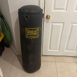 Everlast Punching Bag