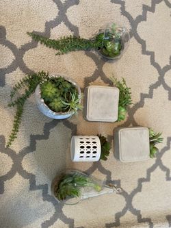 Small faux succulents. $3 a piece!