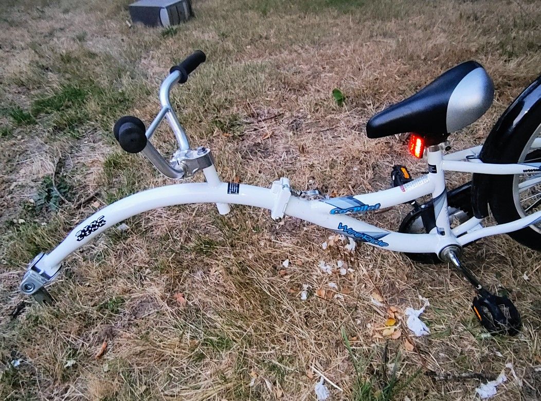 Co-pilot WeeRide W Sync-link