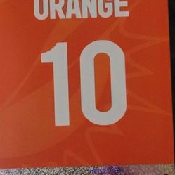 Dolphins Parking Pass