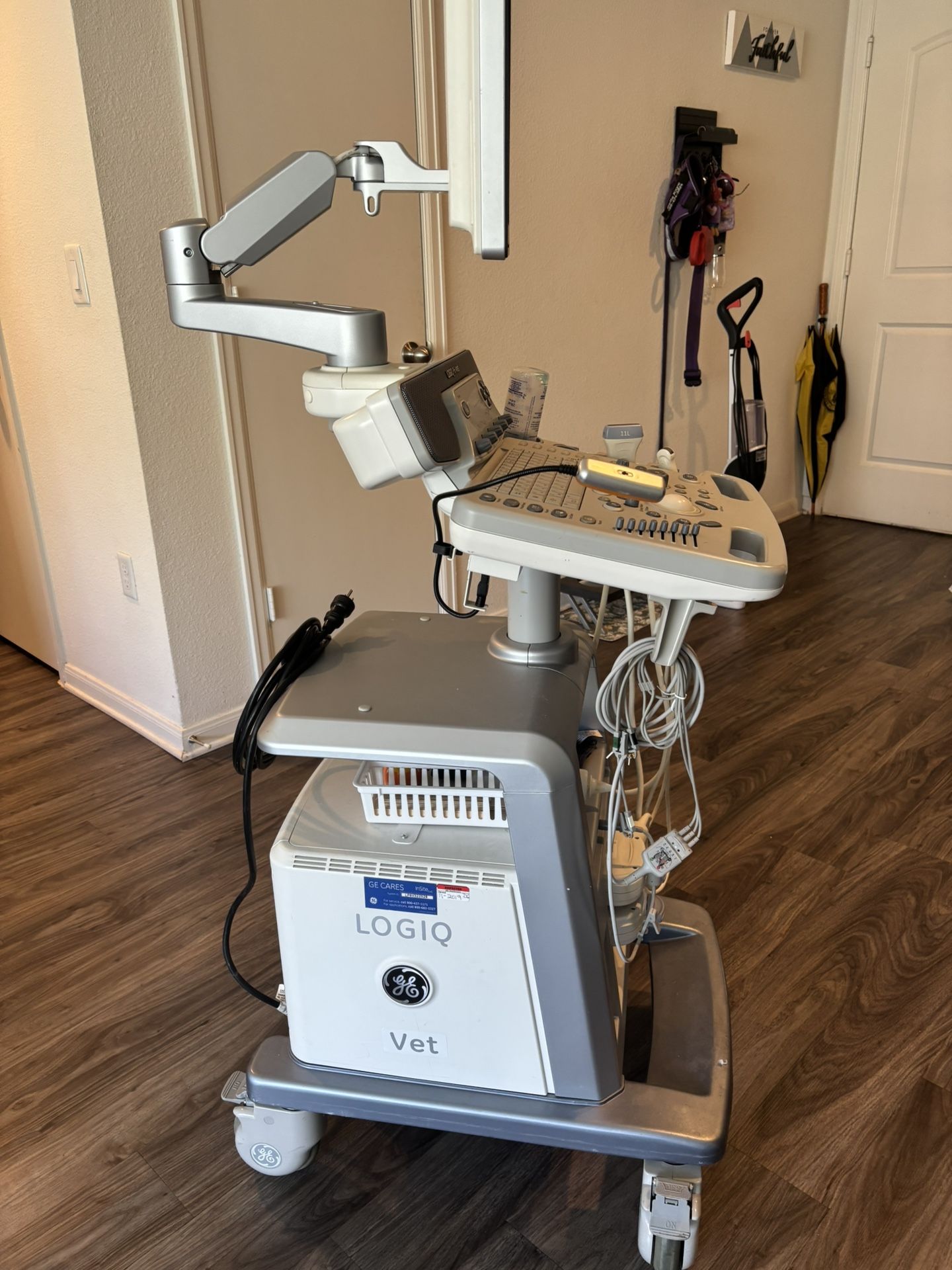HG LOGIQ P6 Vet Ultrasound Machine 