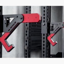 Rogue AM V1.0 Monster Lite 