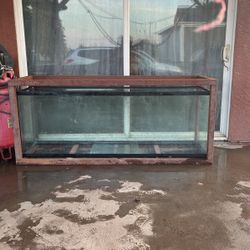 150 Gallon Tank 