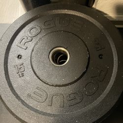 Rogue Mil Spec Bumpers