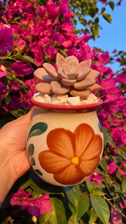 Sunday Small Plant Sale 