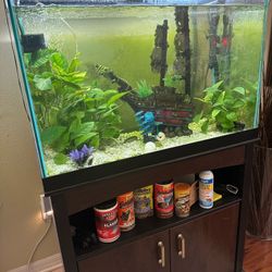 65 Gallon Fish Tank With Filters, Stand And All Accessories 