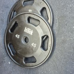 Intek 45lbs Weights
