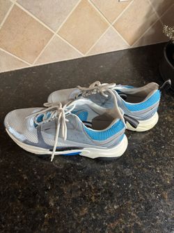 Gray and Blue Dior Sneakers