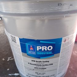 5 gallons exterior/interior Semigloss white paint Paint