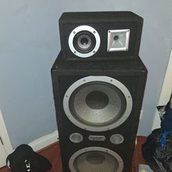 a type of PA speaker designed for loud and powerful sound output