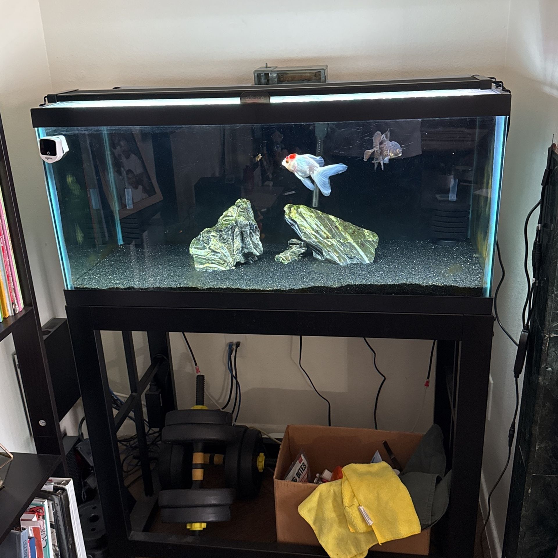 40gal Breeder Tank With Everything Included