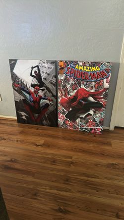Spideman Canvas