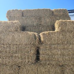 BALES OF ALFALFA FOR SALE