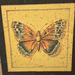 Picture Of Butterfly