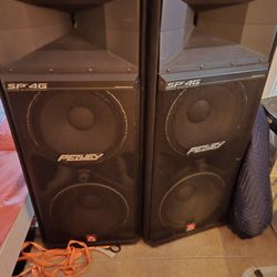 SP4 PEAVEY SPEAKER