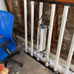 Eco grow Indoor Growing Light