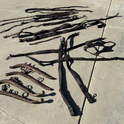 Antique Horse Harness 
