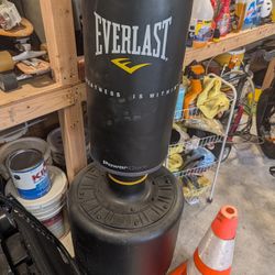 Everlast Powercore Punching Bag
