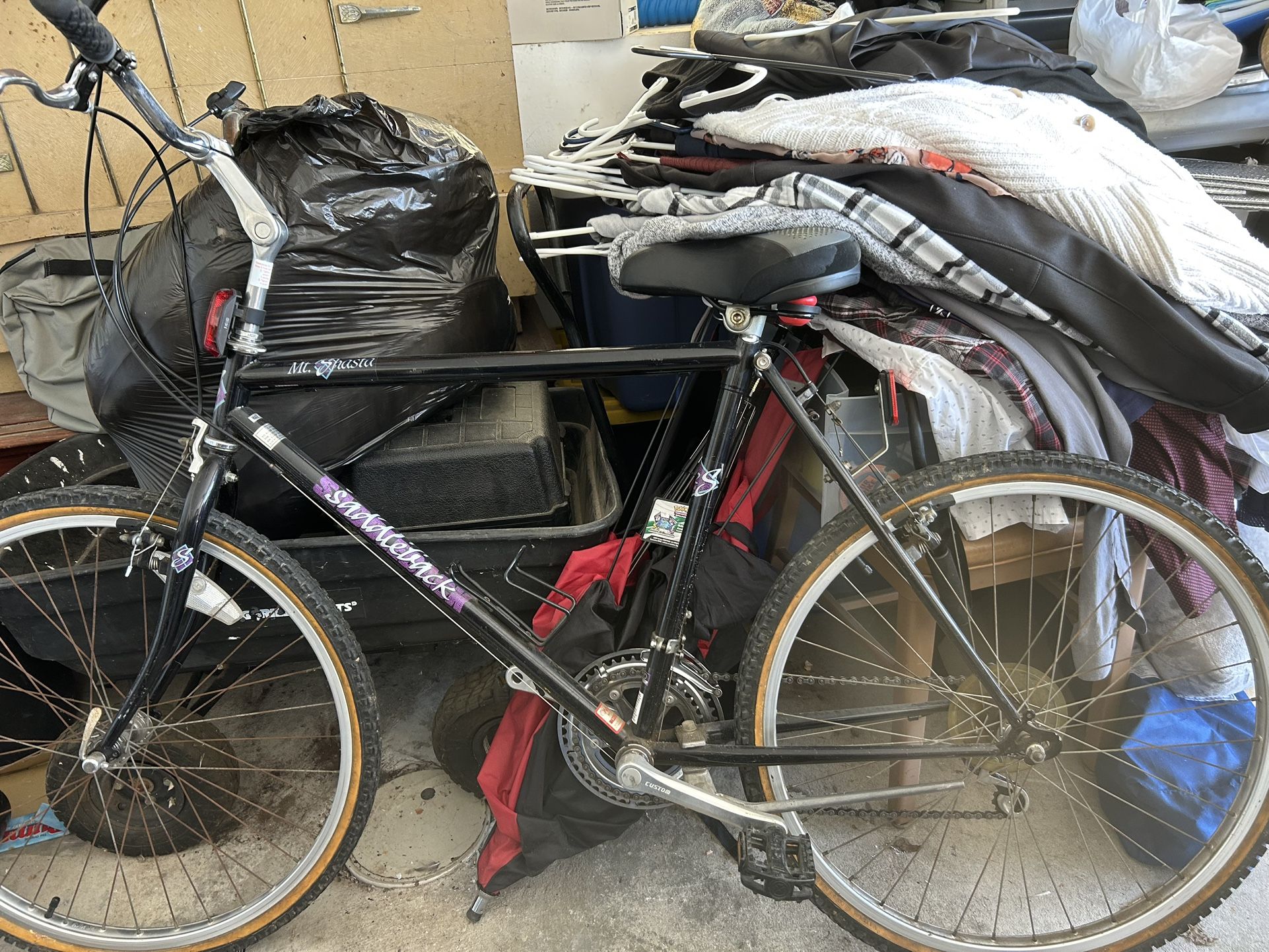 Bike (Shasta Saddleback)