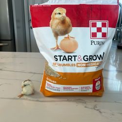 PURINA START&GROW Chicks food
