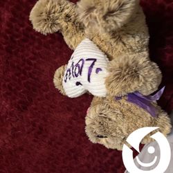Bear Stuffed Animal