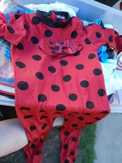 Lady bug costume