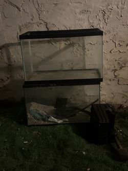 Fish tank