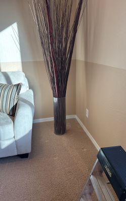 Bamboo And Sticks In A Tall Glass Case