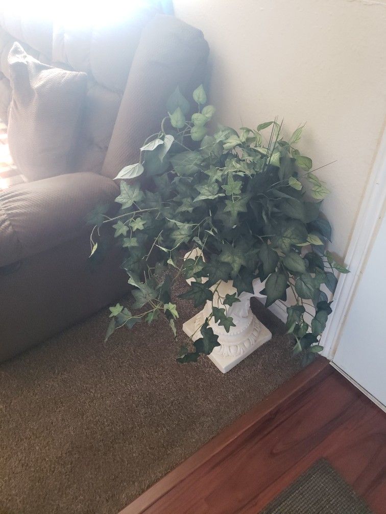 Fake Plant
