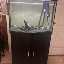 40 Gal Fish Tank With Fluval 207 Filter