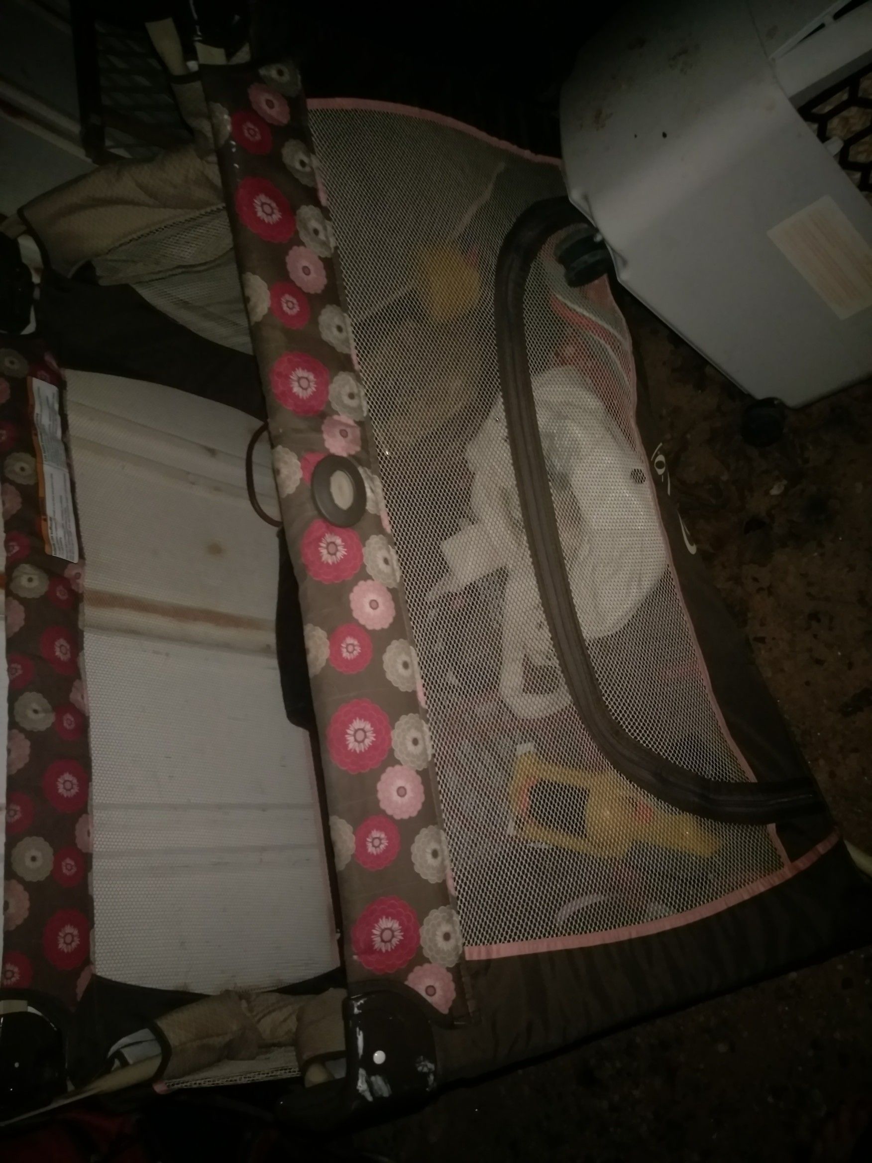 Carseat and playpin