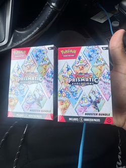 Prismatic bundle